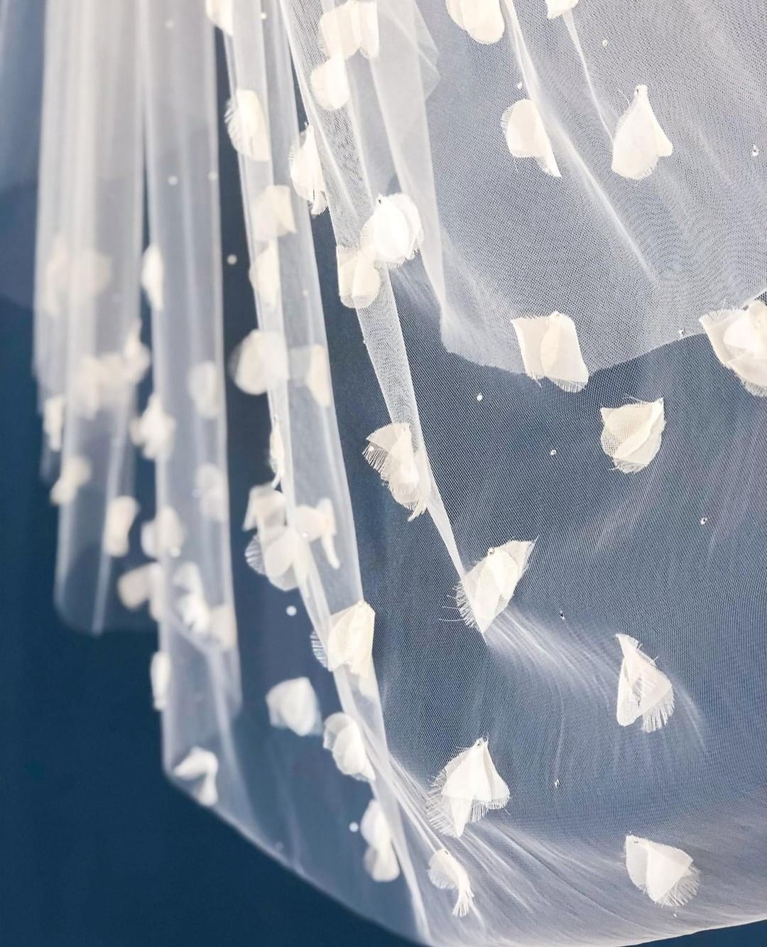 Gallery Image #slidesGrid8